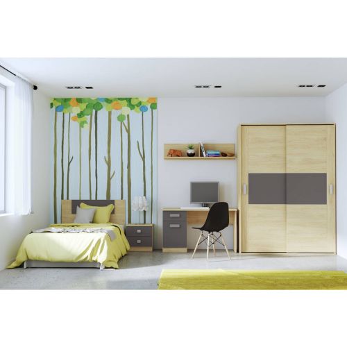 Dormitorio Juvenil Completo DONALD en Puccini y Grafito