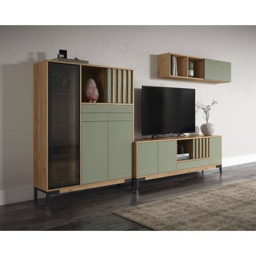 Composición de Salón con Mueble de Televisión Color Verde y Marrón HI4195