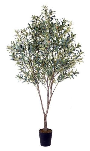 Árbol Artificial JA-227854 Olivo Verde con Maceta 225 cm