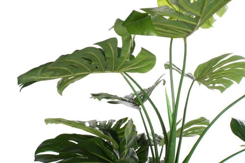 Planta Artificial JA-165005 Costilla De Adán Verde